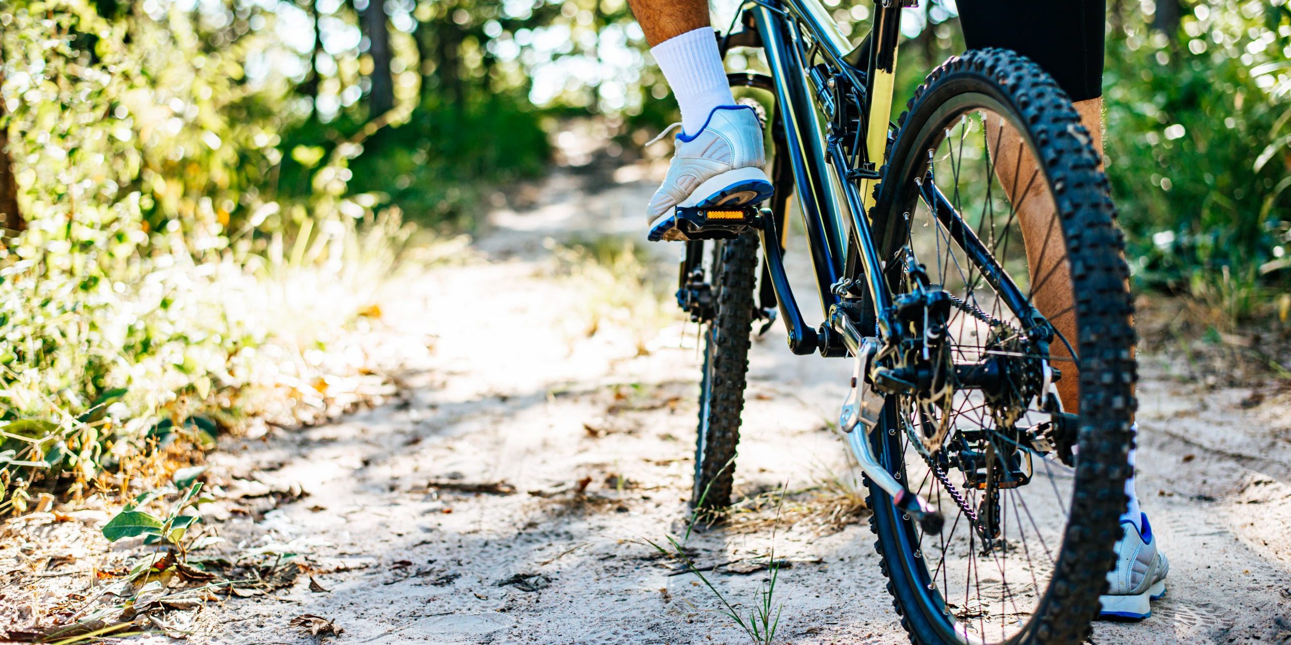 Mountain cyclists sitting on bicycles